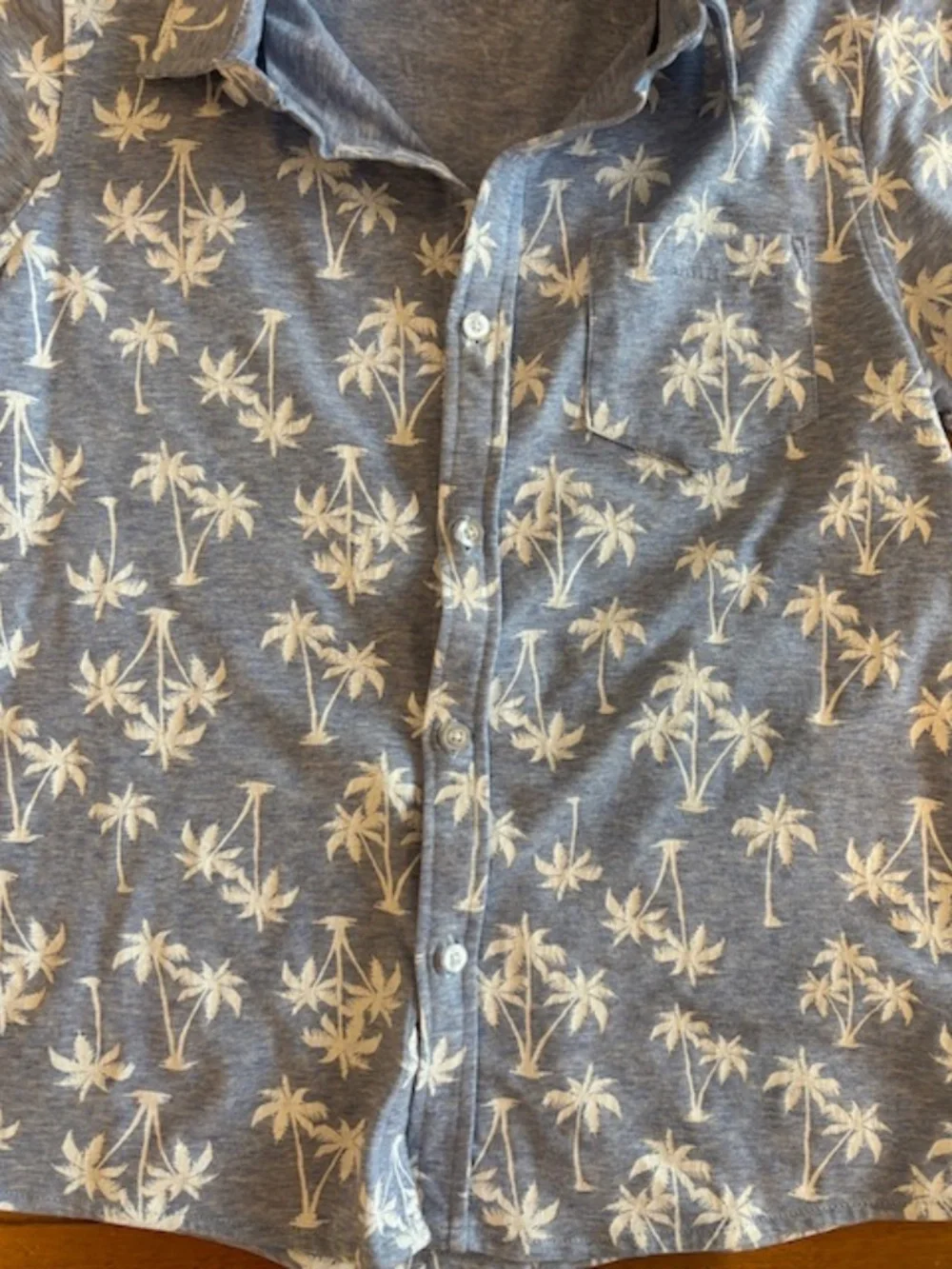 Andy & Evan Boys Light Blue Short Sleeve Button Down Polo w/ Palm Springs Sz 8